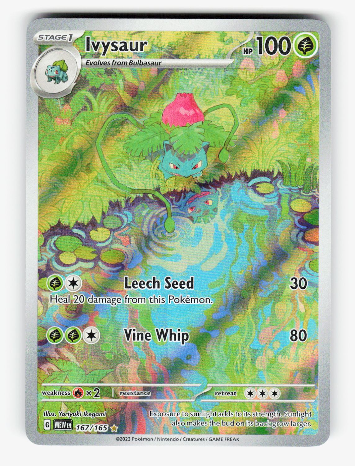 Ivysaur - 167/165
