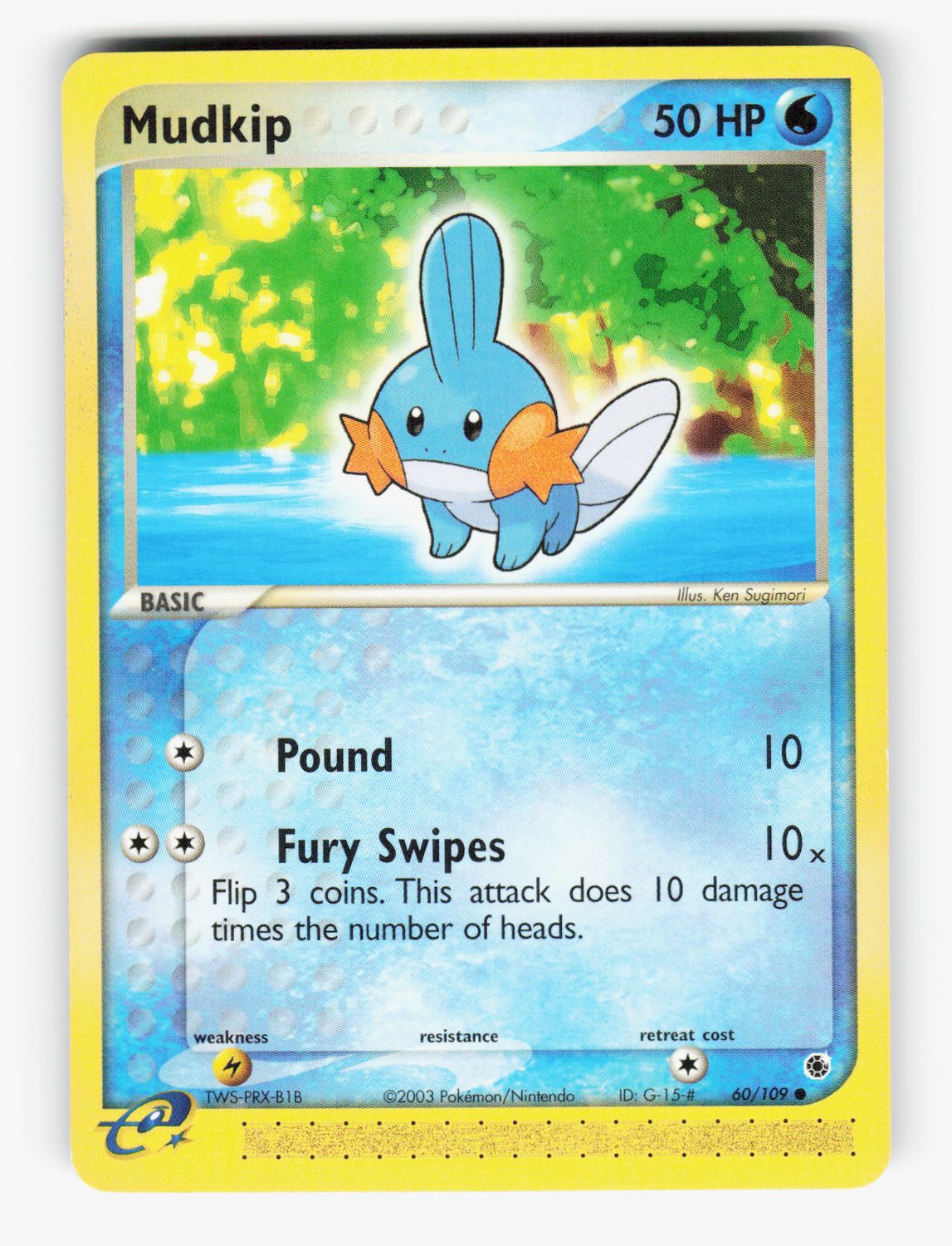 Mudkip - 60/109 - Normal