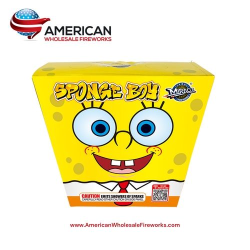 Sponge Boy