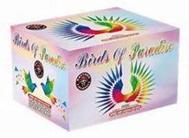 Birds of Paradise