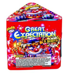 Great Expectations
