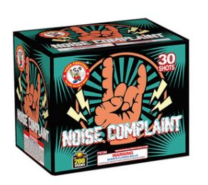 Noise Complaint