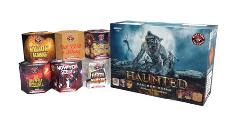 Haunted Raccoon Dream