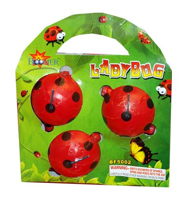 Lady Bug