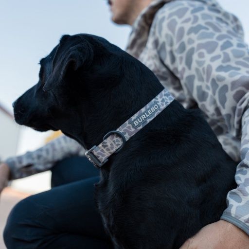 DOG COLLAR, Size: S/M