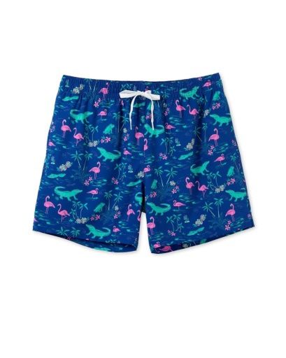 The Swamp &amp; Circumstances 5.5" (Classic Lined Swim Trunk), Size: L