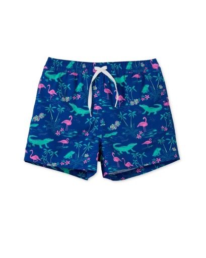 The Swamp &amp; Circumstances (Boys Lined Swim Trunk)