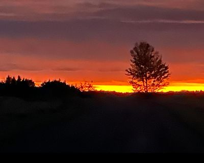 Wellness &amp; Self care