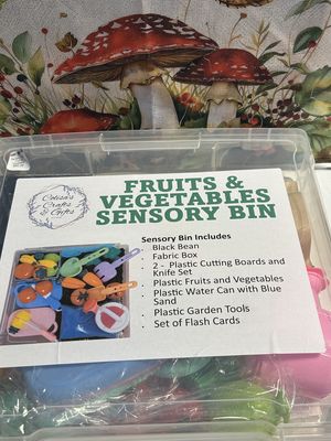 Sensory Bin