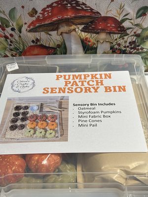 Sensory bin/