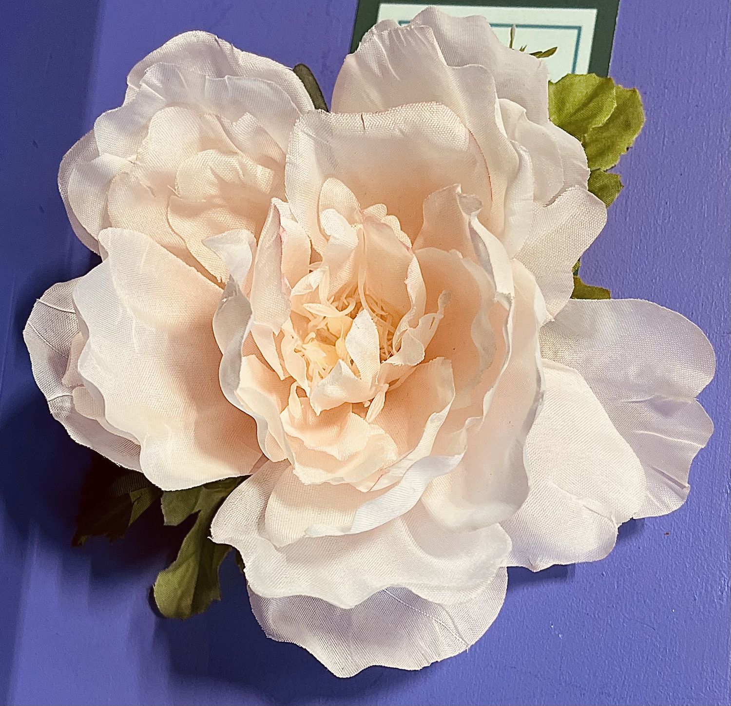 Forever-Flower clip, design: Light Pink peony