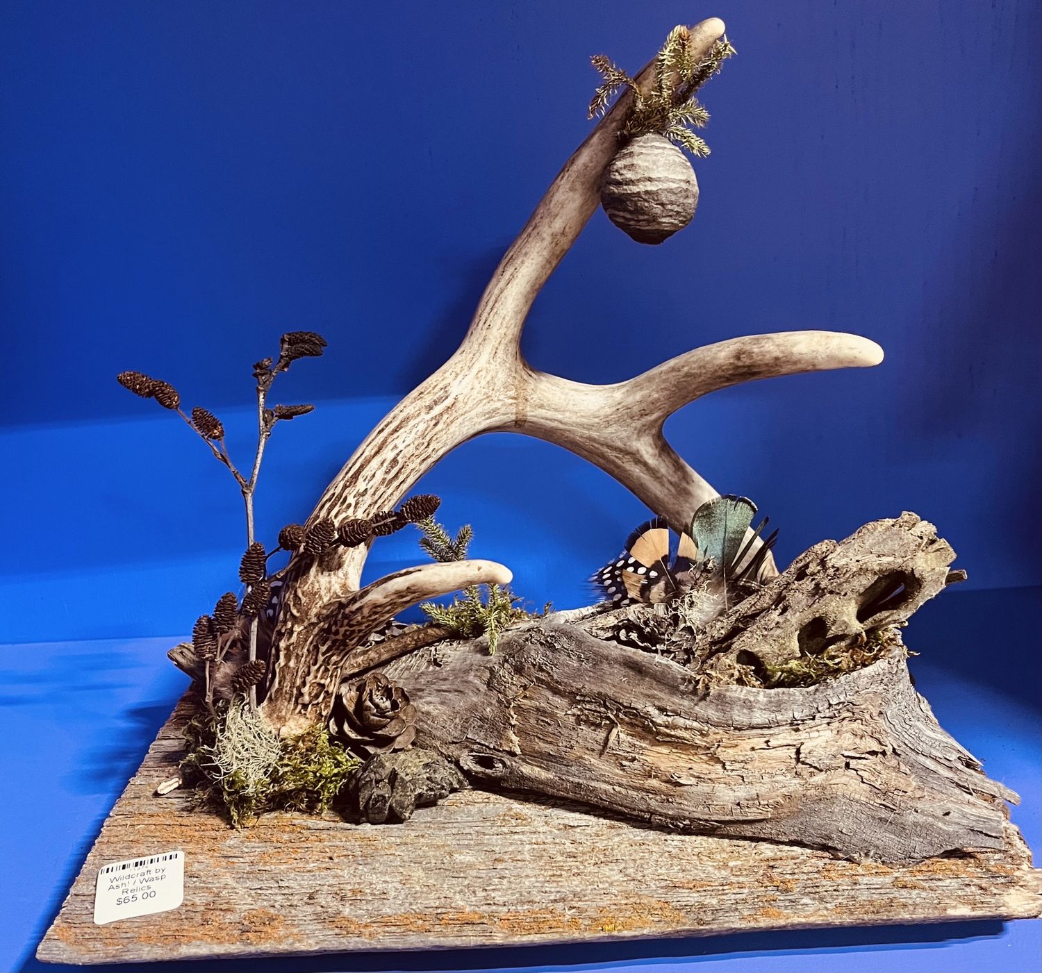 Wildcraft by Ash!, design: Wasp Relics