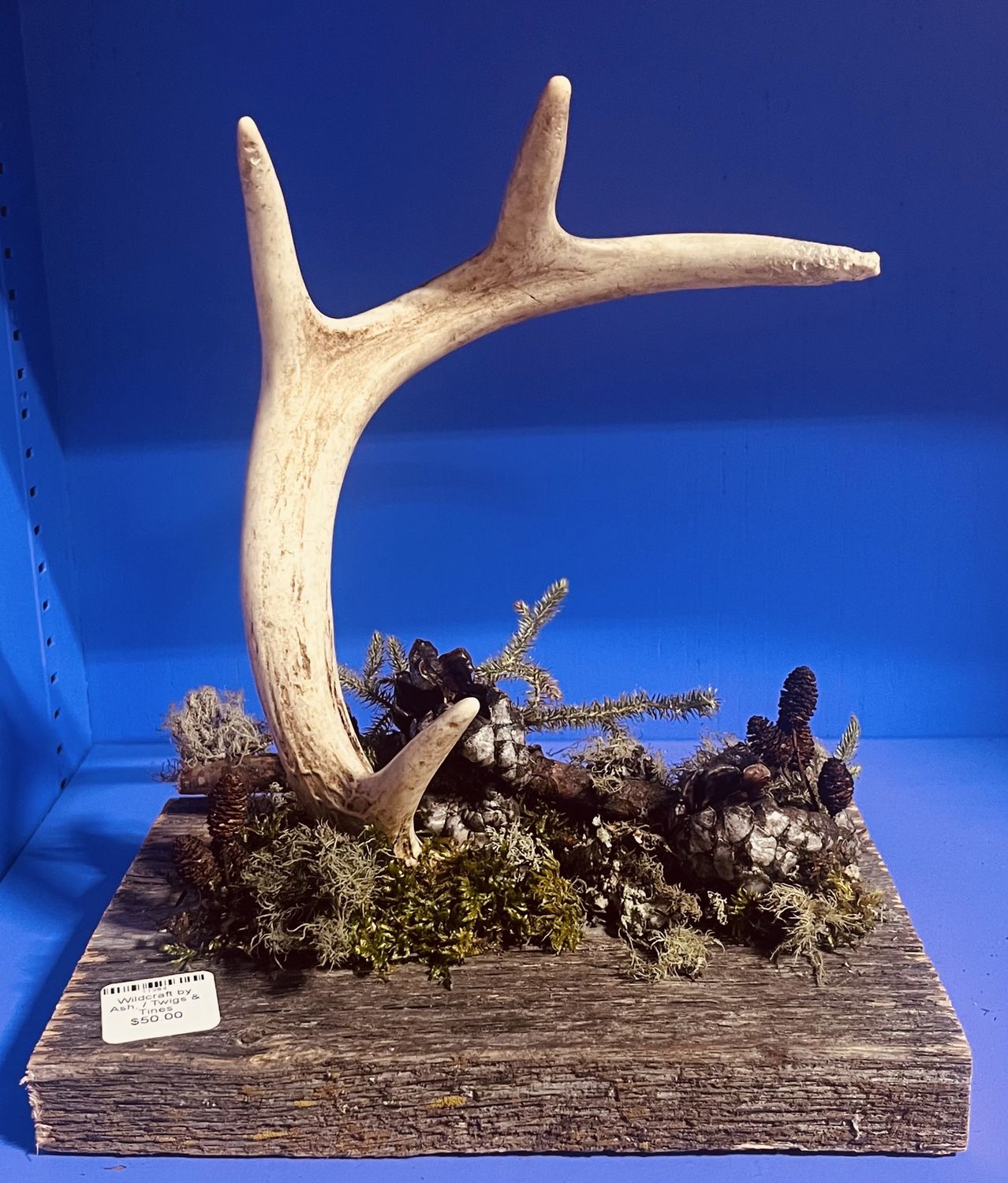 Wildcraft by Ash,, design: Twigs &amp; Tines