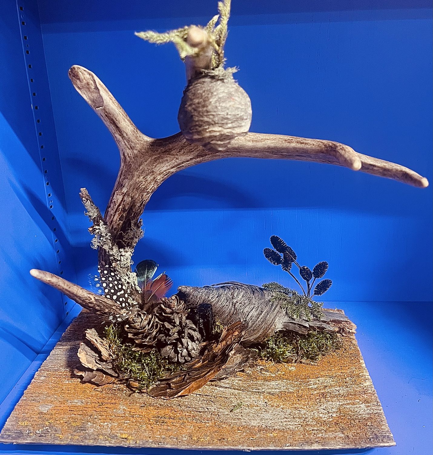 Wildcraft by Ash/, design: Spirit of the Wild