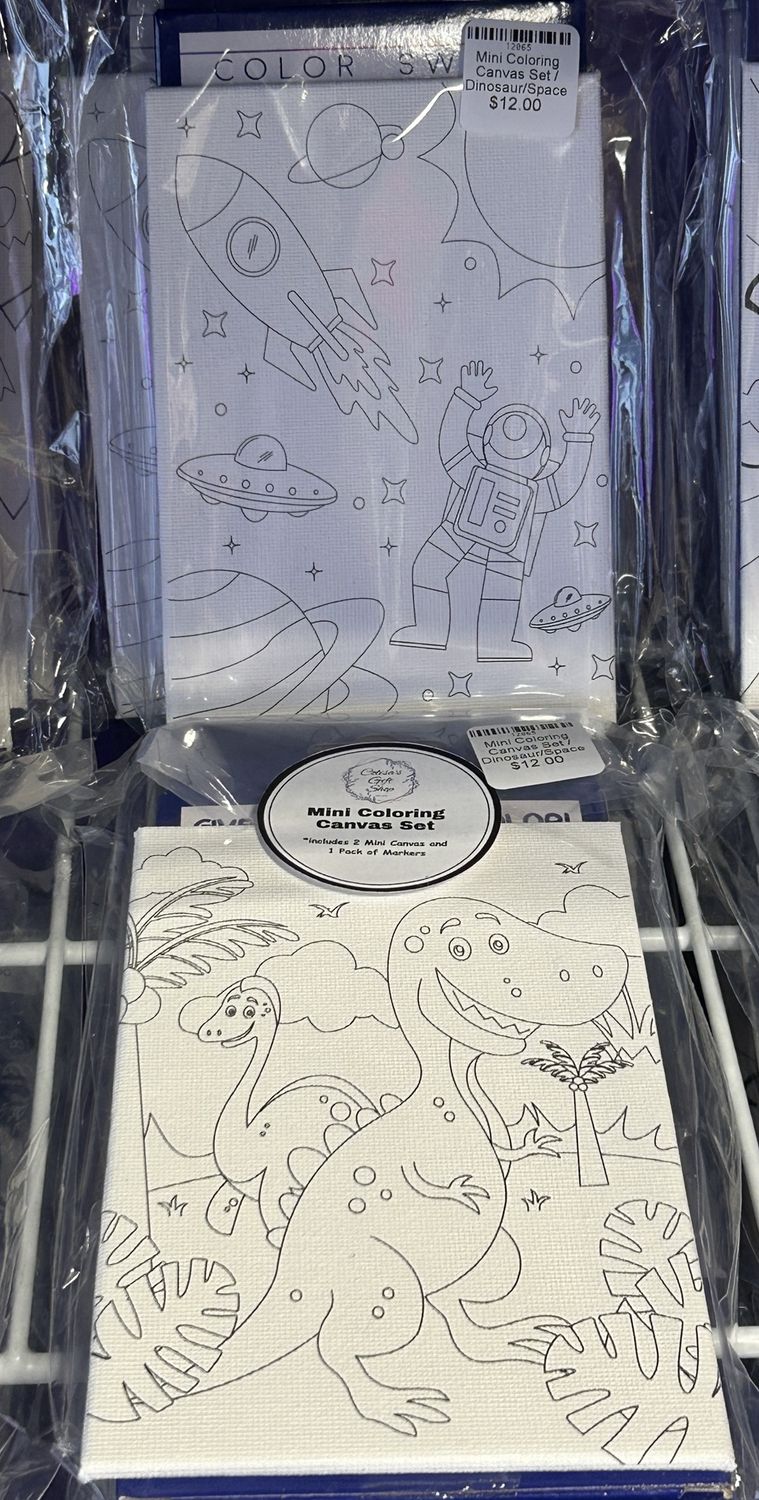 Mini Coloring Canvas Set, design: Dinosaur/Space