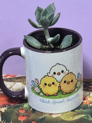 Spring mug w/succulent