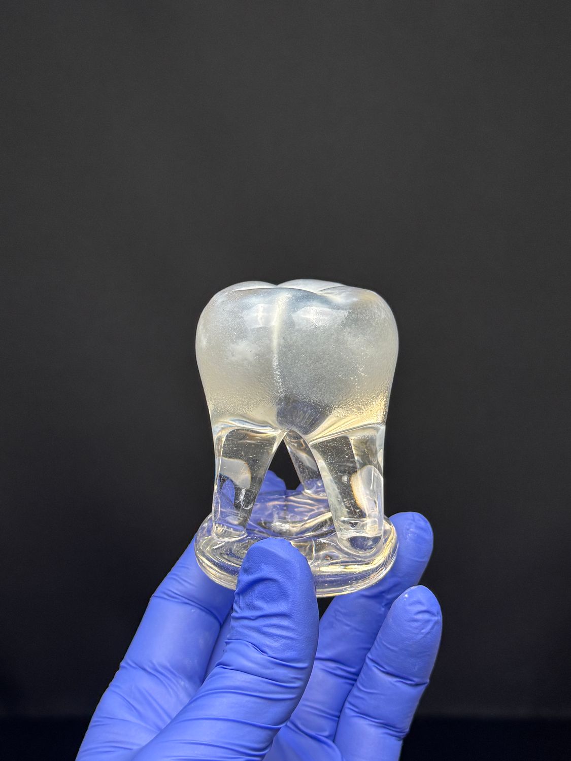 Small Glass Tooth - White Crown