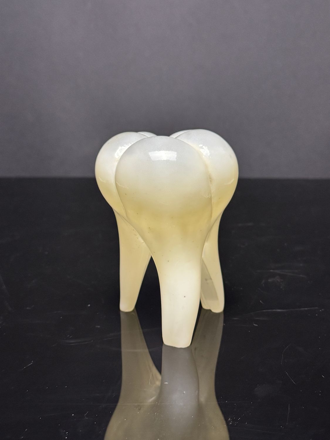 Large Glass Tooth - Bone White