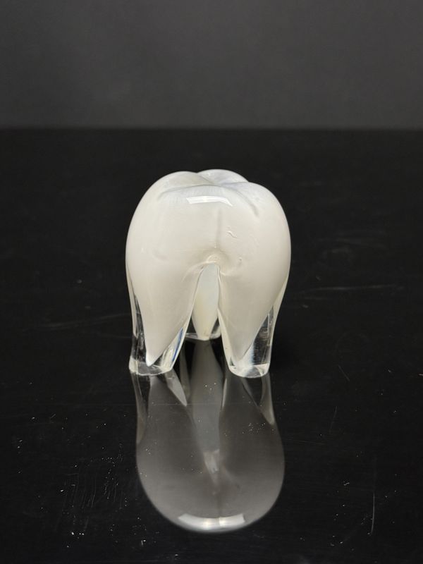 Small Glass Tooth - White