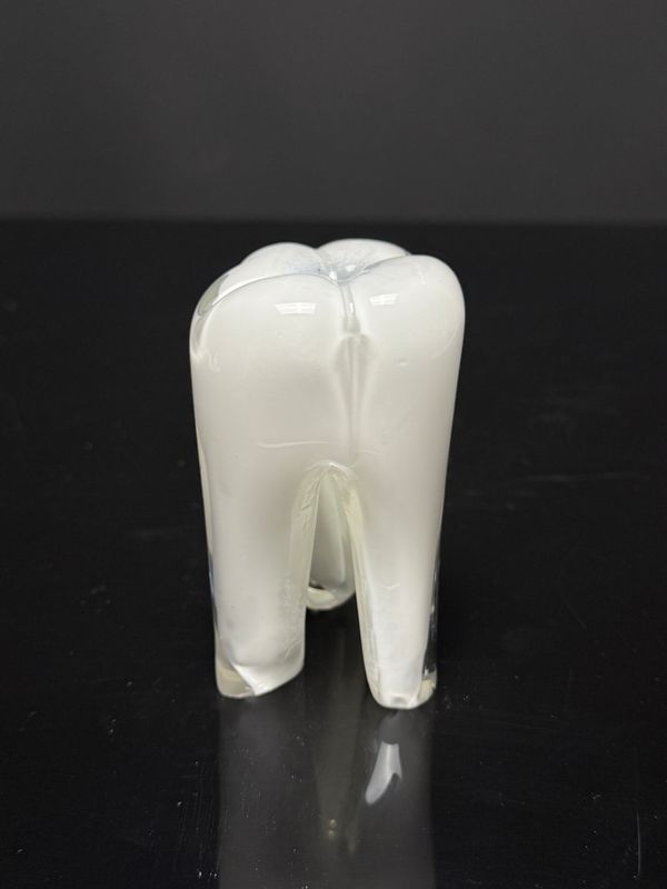 Medium Glass Tooth - White