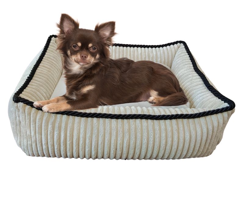 Legowisko, kanapa dla Psa/Kota z wyjmowaną poduszką - Sereno XS Beż