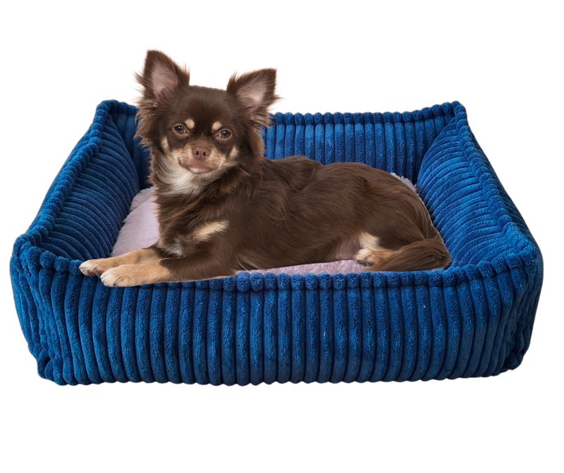 Legowisko, kanapa dla Psa/Kota z wyjmowaną poduszką - Sereno XS Niebieski