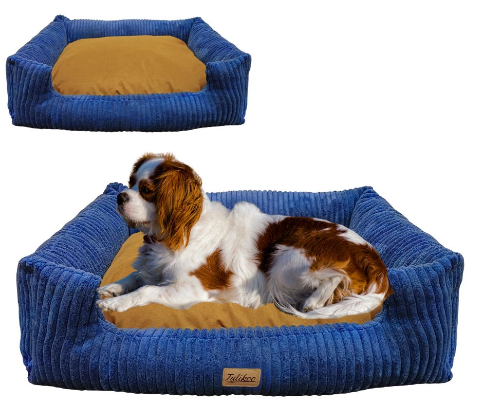 Legowisko, kanapa dla Psa/Kota z wyjmowaną poduszką - Pufello S Niebieskie