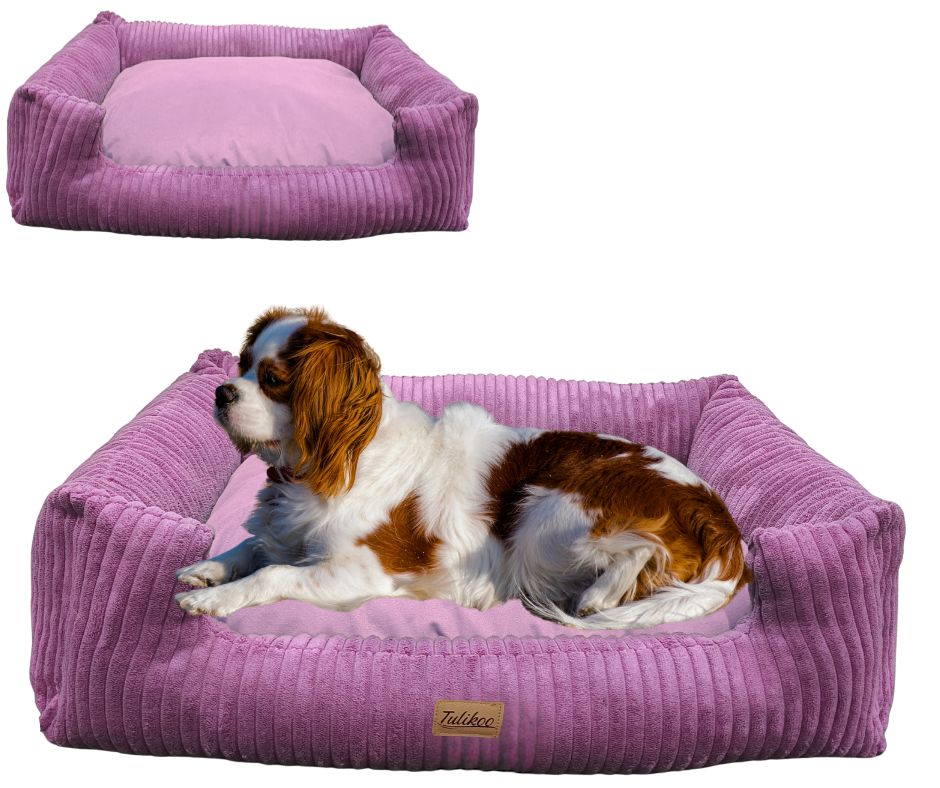 Legowisko, kanapa dla Psa/Kota z wyjmowaną poduszką - Pufello S Brudny róż