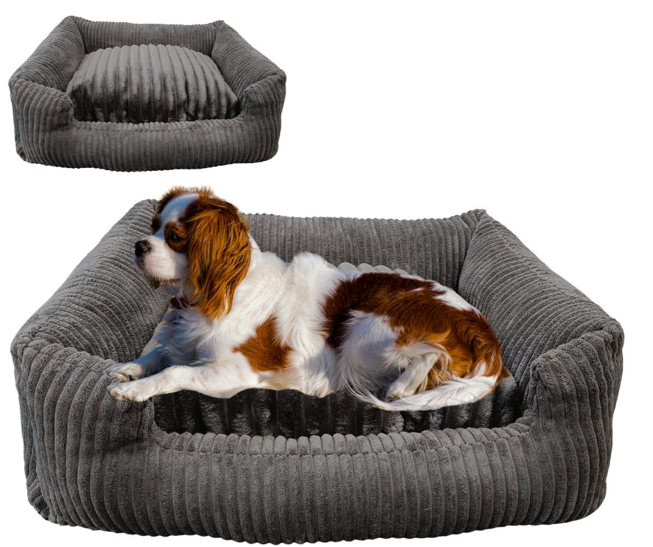 Legowisko, kanapa dla Psa/Kota z wyjmowaną poduszką - Pufello S Szary