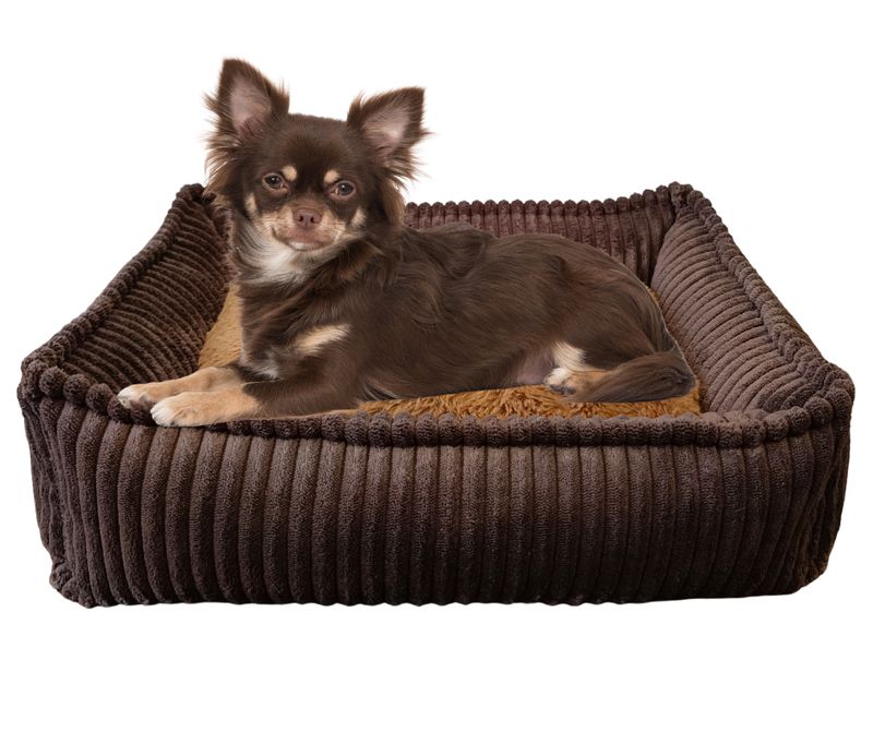 Legowisko, kanapa dla Psa/Kota z wyjmowaną poduszką - Sereno XS Brązowy