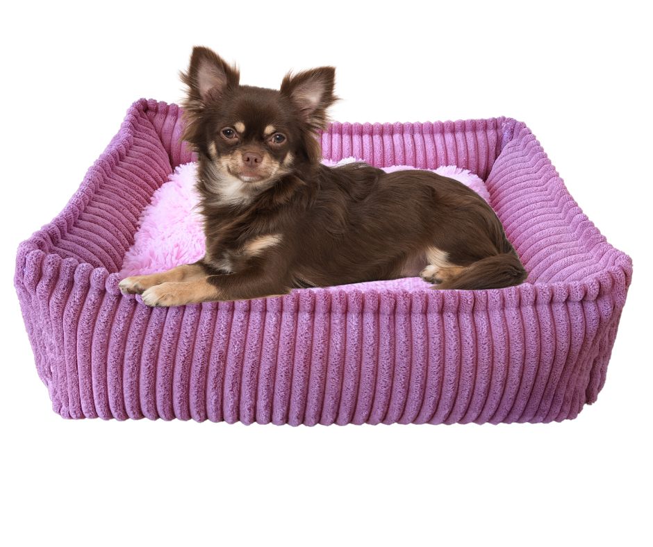 Legowisko, kanapa dla Psa/Kota z wyjmowaną poduszką - Sereno XS Brudny róż