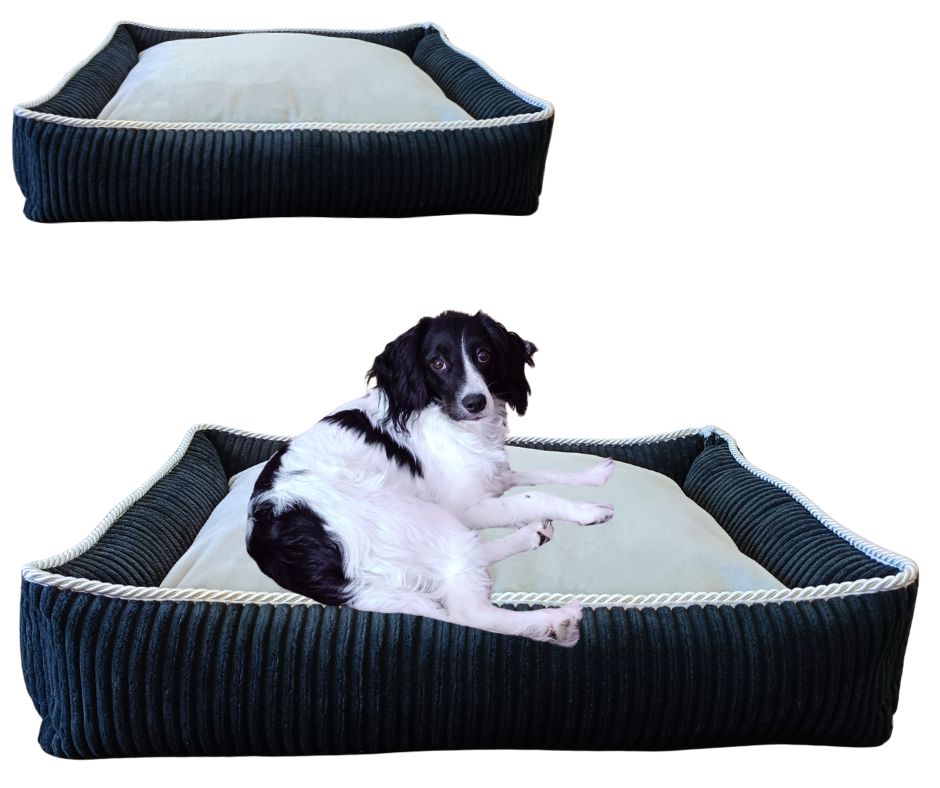 Legowisko, kanapa dla Psa/Kota z wyjmowaną poduszką - Sereno M Czarny
