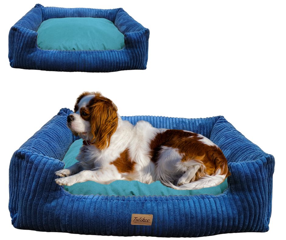 Legowisko, kanapa dla Psa/Kota z wyjmowaną poduszką - Pufello S Niebieskie