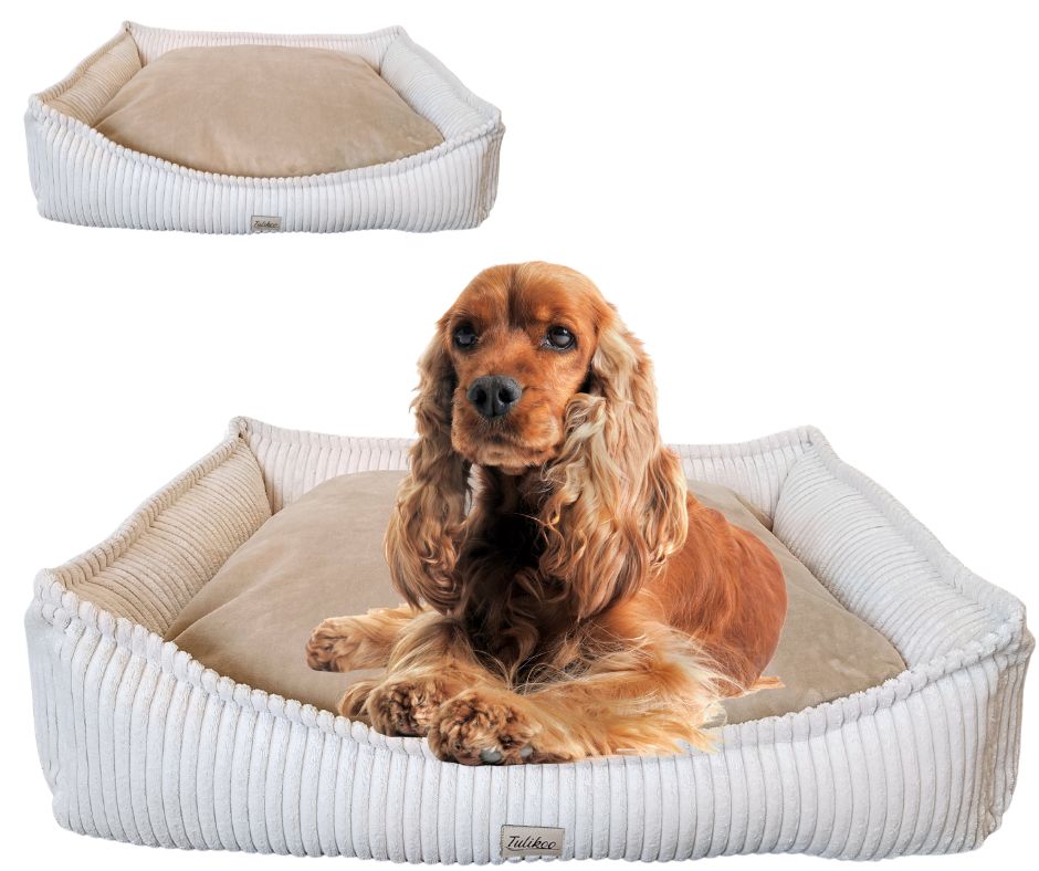 Legowisko, kanapa dla Psa/Kota z wyjmowaną poduszką - Evan M Beżowy