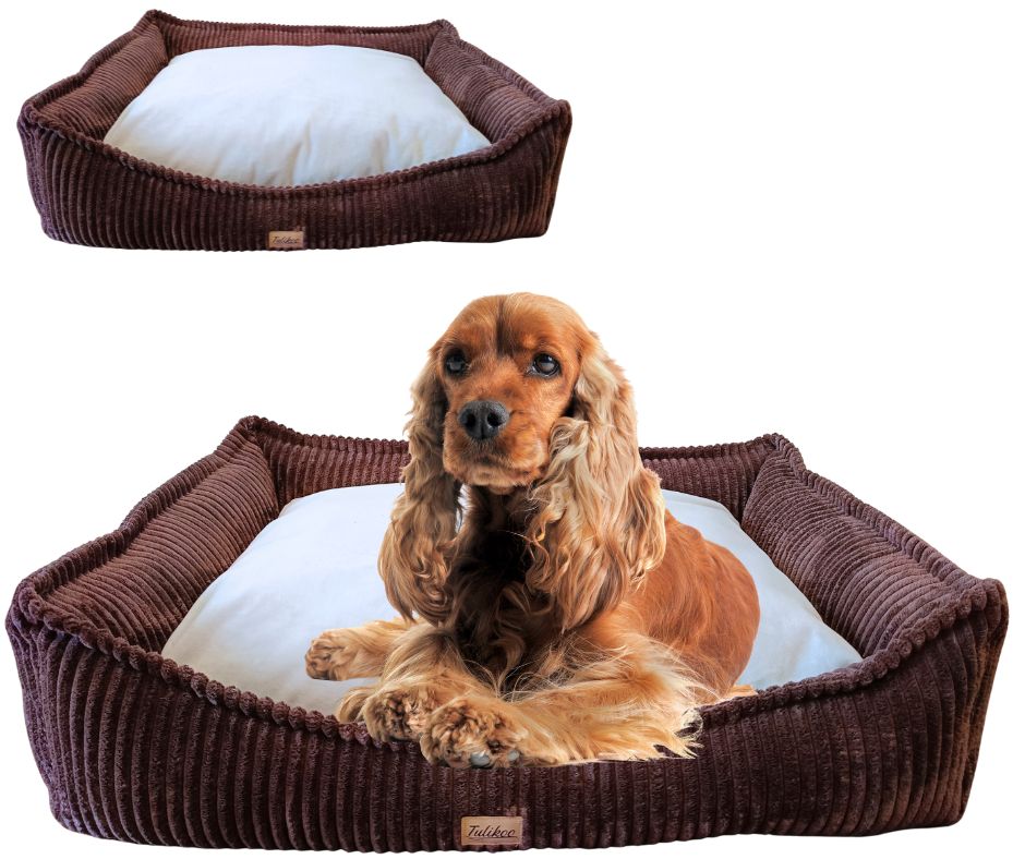 Legowisko, kanapa dla Psa/Kota z wyjmowaną poduszką - Evan M Brąz