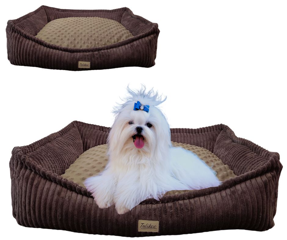 Legowisko, kanapa dla Psa/Kota z wyjmowaną poduszką - Evan S Brąz