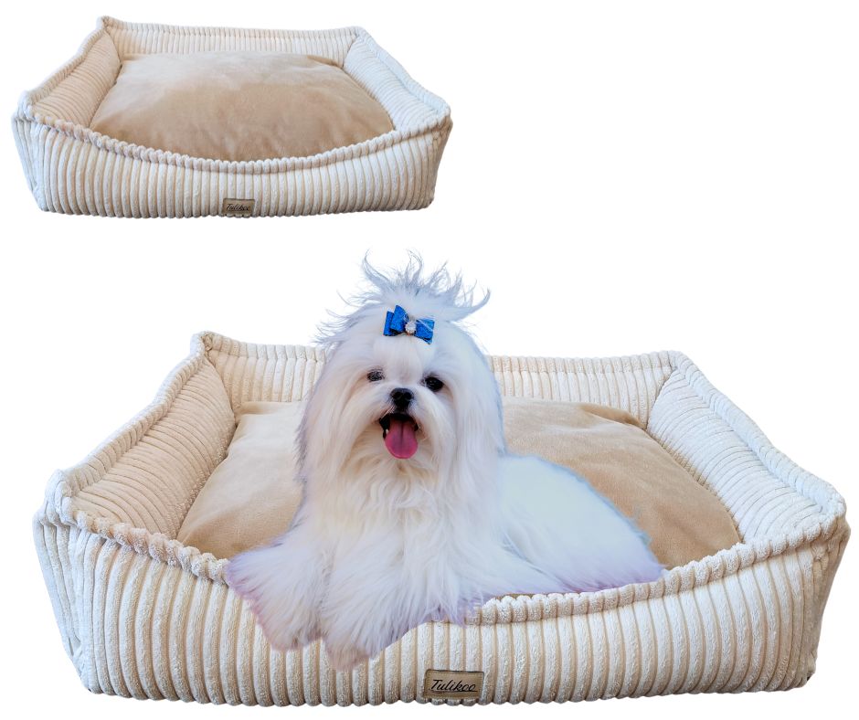 Legowisko, kanapa dla Psa/Kota z wyjmowaną poduszką - Evan S Beżowy