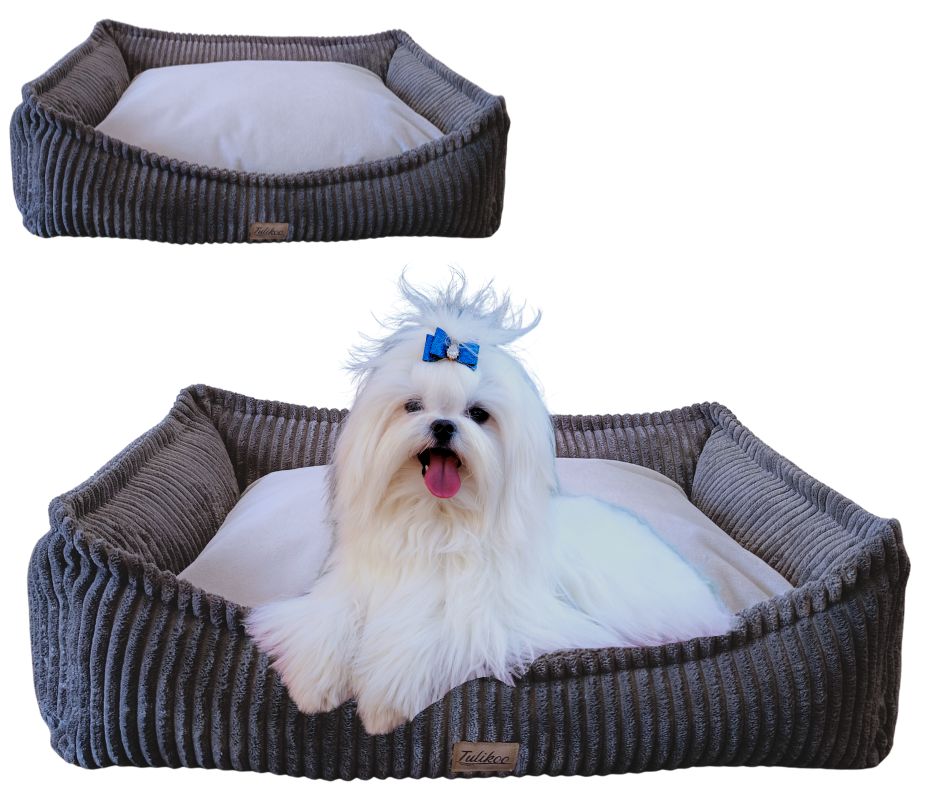 Legowisko, kanapa dla Psa/Kota z wyjmowaną poduszką - Evan S Szary