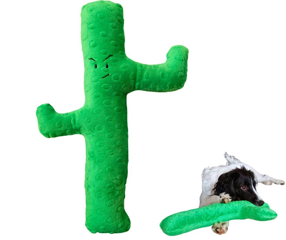 Zabawka dla psa z piszczałką - Kaktus