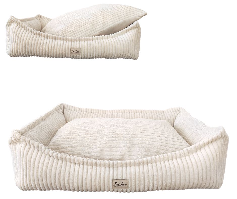 Legowisko Kanapa dla Psa M Miękkie z wyjmowaną poduszką 60x45 cm Beż/Ecru