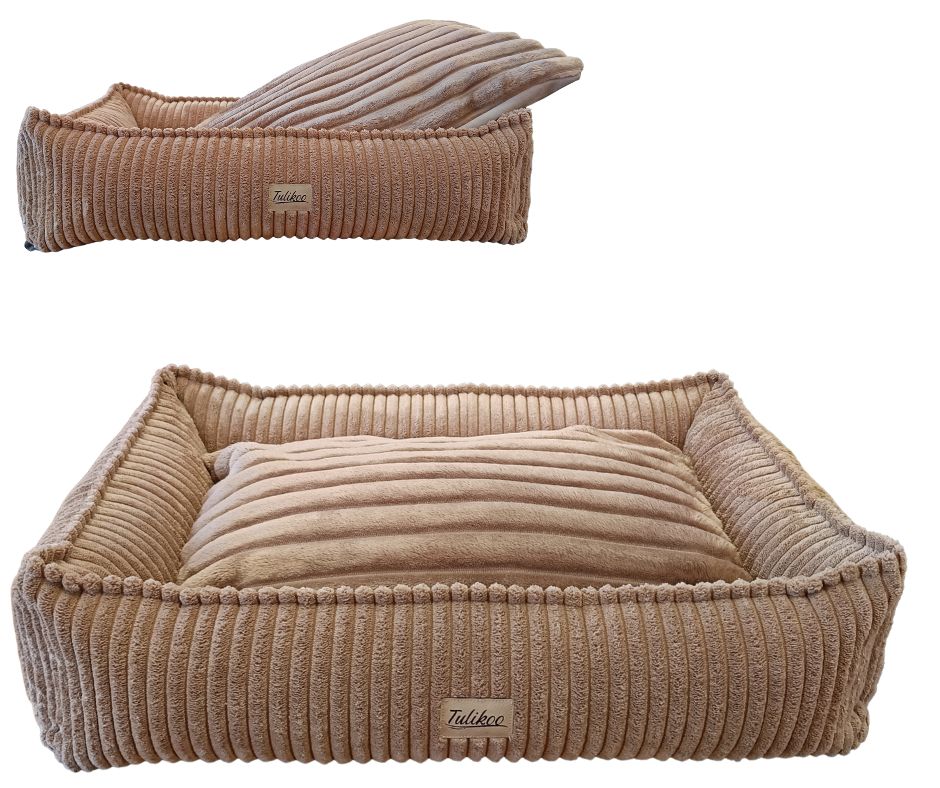 Legowisko Kanapa dla Psa S Miękkie z wyjmowaną poduszką 56x42cm Cappuccino