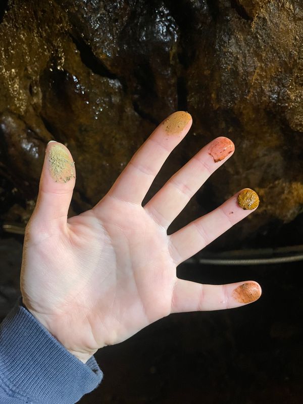 1-1 HANDS-ON FORAGING SESSION