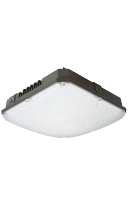 Garage Canopy Series - 40W