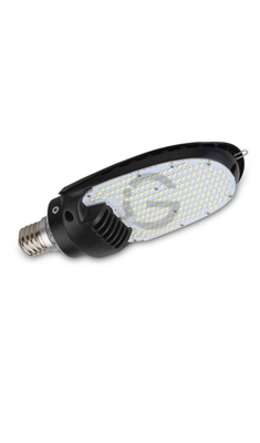 Street Corn Cob - 36W