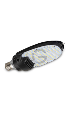 Street Corn Cob - 75W