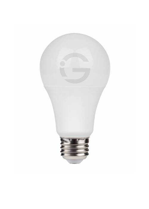 Small Bulb Series - A19 9W
