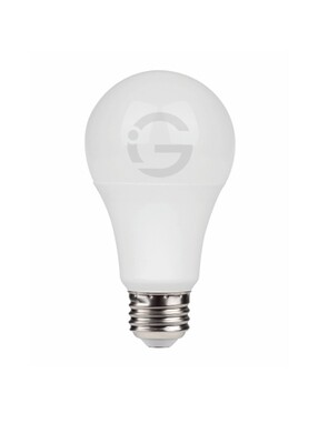 Small Bulb Series - A19 9W