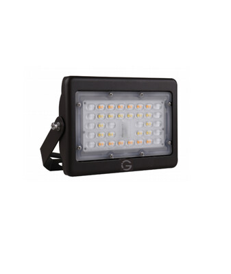 LED Floodlight -15W