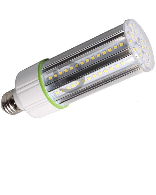 Corn Cob - 20W