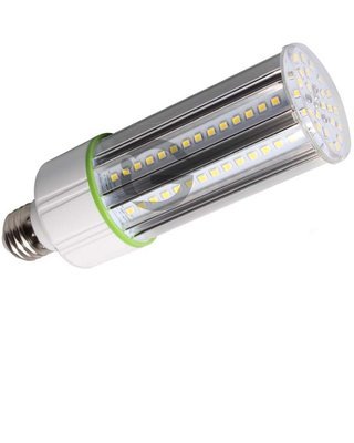 Corn Cob - 20W